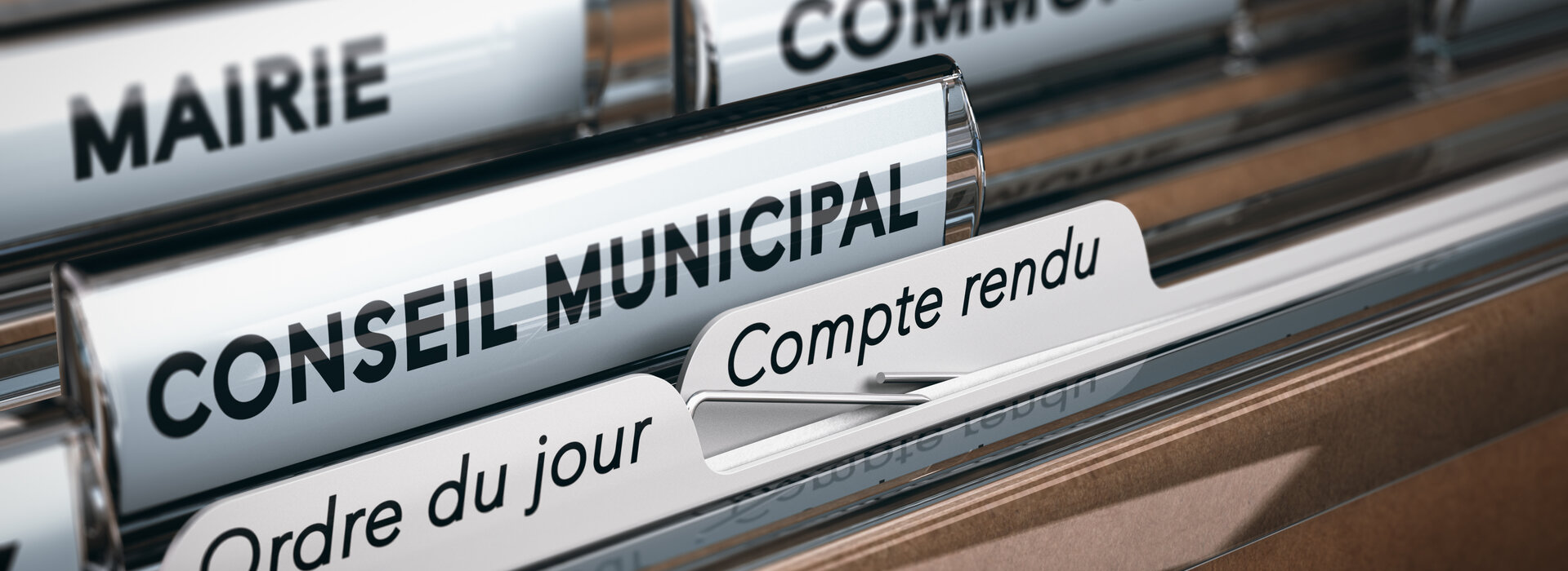 Le Conseil municipal